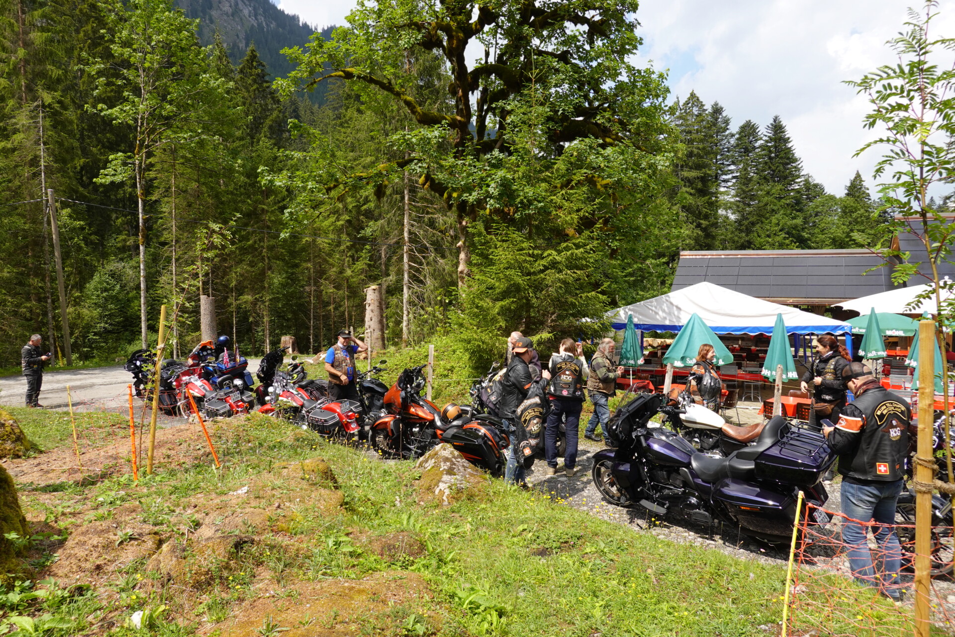 Berner Oberland 10
