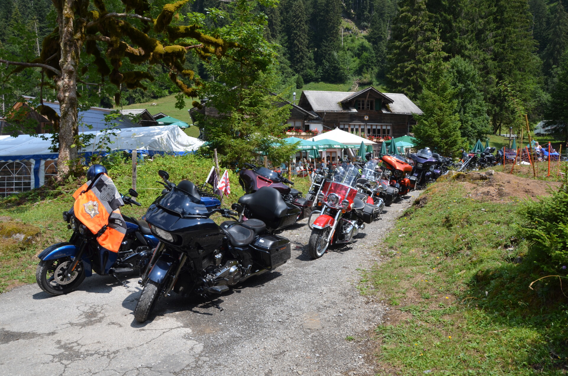 Berner Oberland 13
