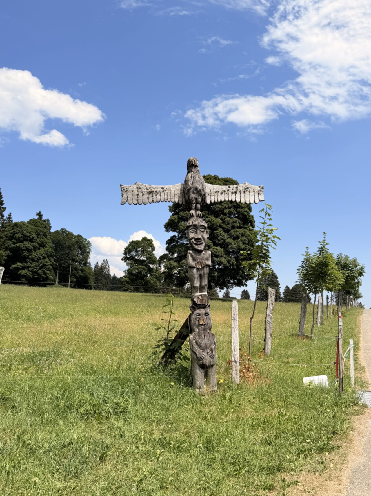 Ride_Out_Bison_Ranch_15