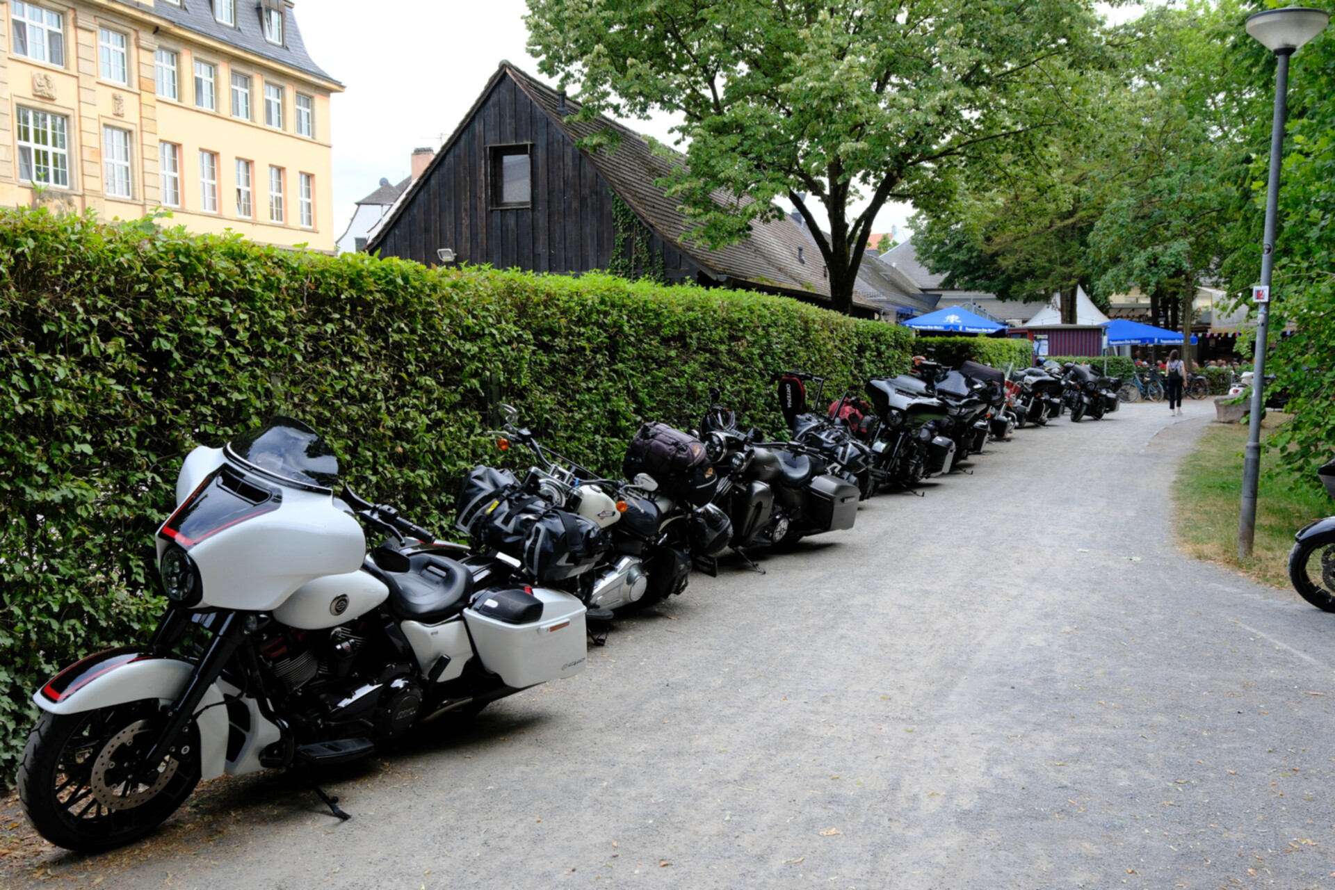 Willigen 15