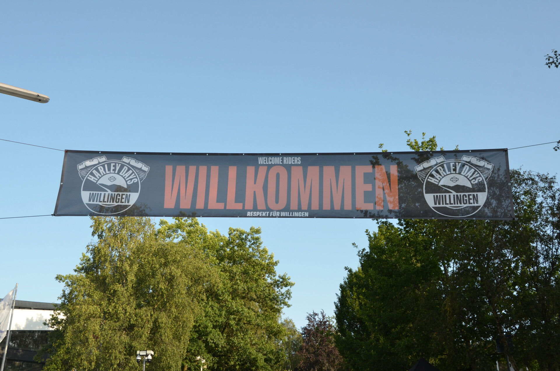 Willigen 41